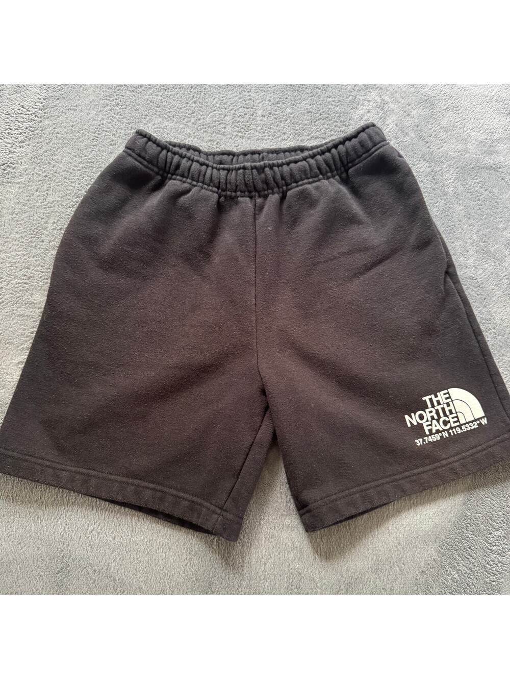 The North Face Coordinates Fleece Shorts Small Black Graphic Sweat Shorts Men